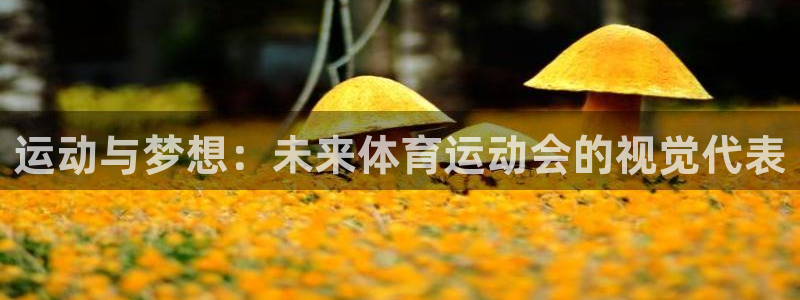 vsport体育在线官网：运动与梦想：未来体育运动会的视觉代表