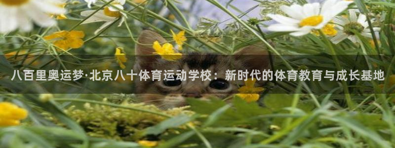 vsport体育：八百里奥运梦·北京八十体育运动学校：新时代的体育教育与成长基地