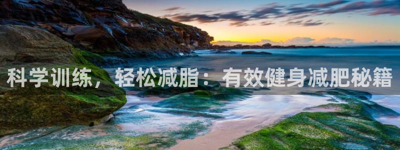 vsport体育在线官网：科学训练，轻松减脂：有效健身减肥秘籍