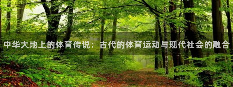 vsport体育：中华大地上的体育传说：古代的体育运动与现代社会的融合