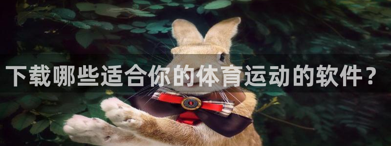 vsport体育：下载哪些适合你的体育运动的软件？