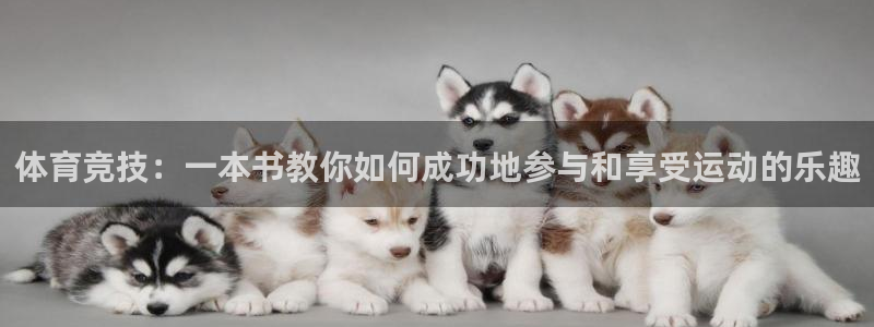 vsport体育在线官网：体育竞技：一本书教你如何成功地参与和享受运动的乐趣