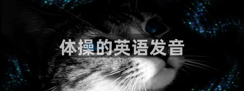 vsport体育在线官网：体操的英语发音