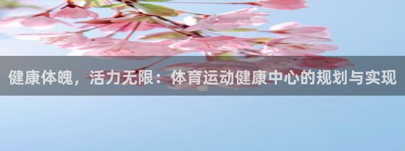 vsport体育：健康体魄，活力无限：体育运动健康中心的规划与实现