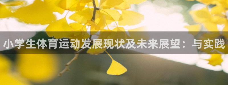 vsport体育在线官网：小学生体育运动发展现状及未来展望：与实践