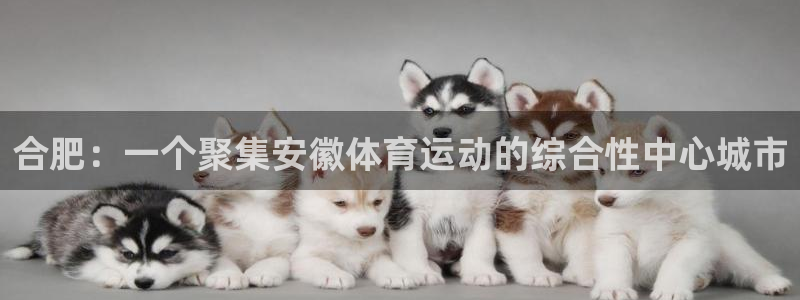 vsport体育：合肥：一个聚集安徽体育运动的综合性中心城市