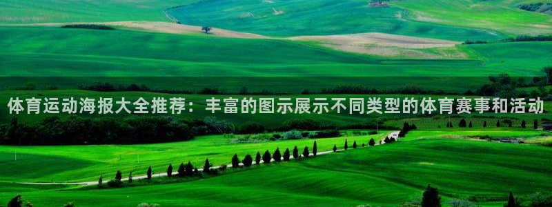 vsport体育：体育运动海报大全推荐：丰富的图示展示不同类型的体育赛事和活动